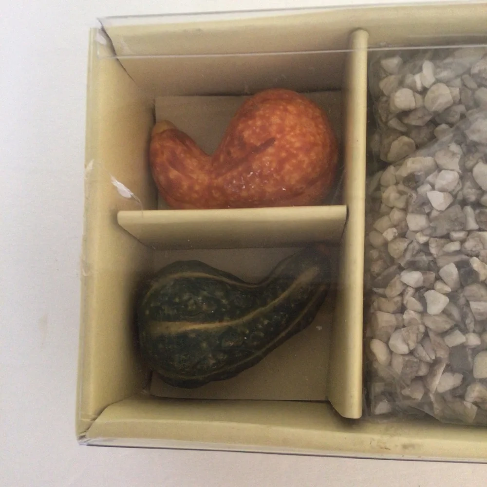 PIER 1 FALL GOURDS DECORATING CANDLESCAPING SET NWT